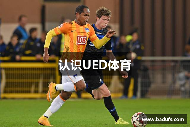 认识UED体育
